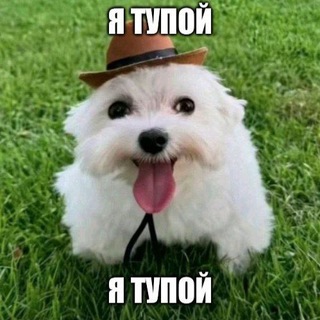 @macler64