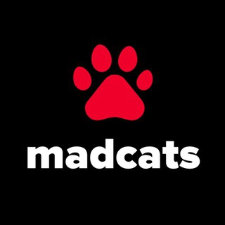 Котики — MadCats.ru