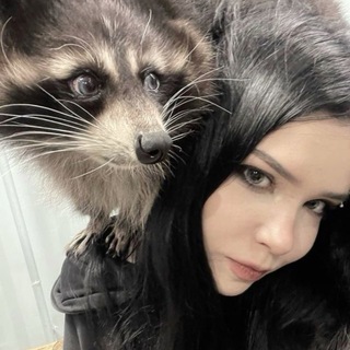 @madm1ce