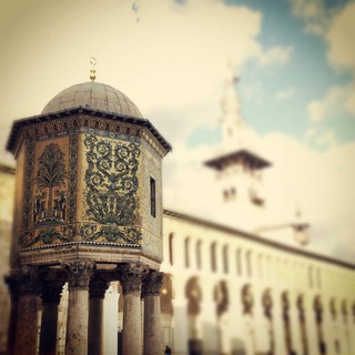@majalis2