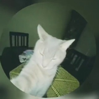 @Maje7
