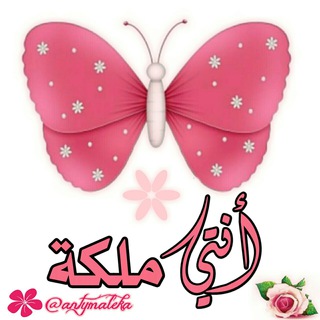 بوت تواصل📩أنتي ملكة👑