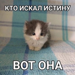 Marlboro Red(Закупаю