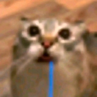 @malletwet