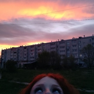 @marishobusik
