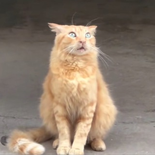 Mariya Voznesenskaya