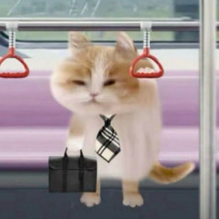 @Marsik_oo