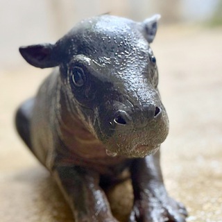 @Marsthehippo