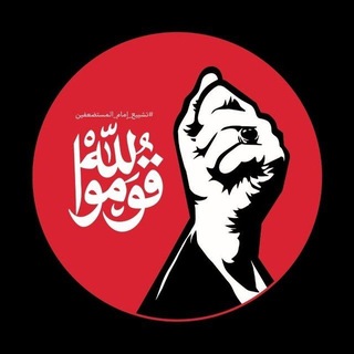 @mas313z