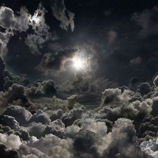 @masha2_8