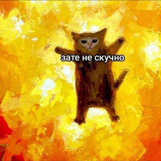 @maxb2485