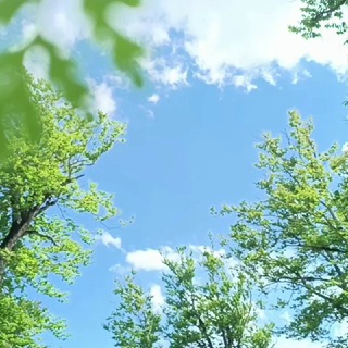 @maze1394