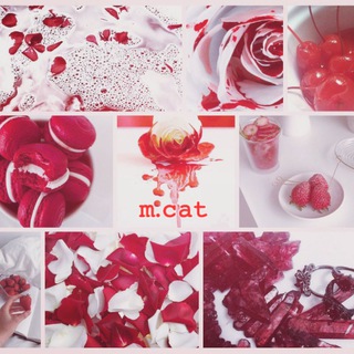 @mcat_XIX