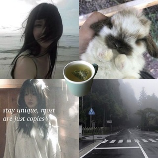 @me0wka1