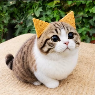 @me1linss