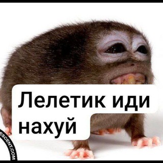 @mefedron22k8