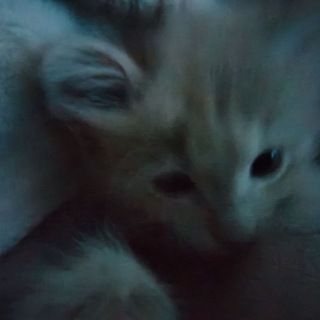 @MelvIWQI