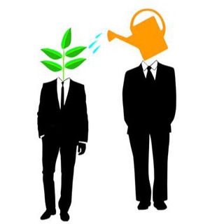 Сила менторинга