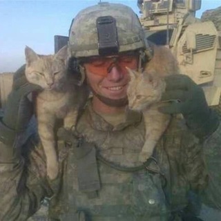 @meooww14