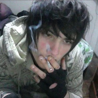 @meow_kittyXD