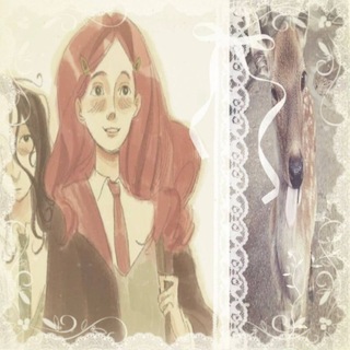 @meow_mll