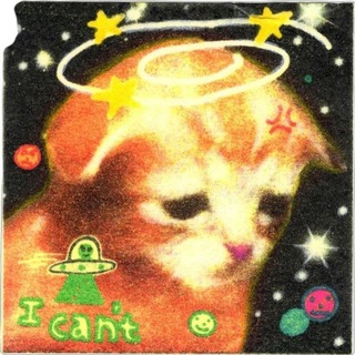 Telegram contact with @meow_o_o_meow @meow_o_o_meow