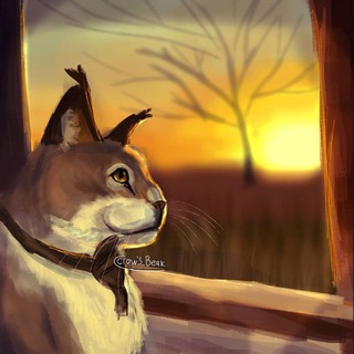 @Meows_NuclearLynx