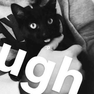 @meowvertt