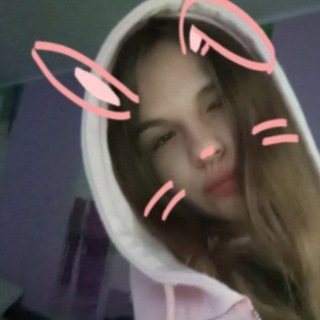 @meowvwpp