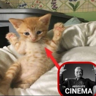 @Meoww_Nari