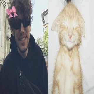 @Meoy_meow