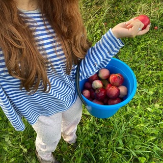 @Mersel_l
