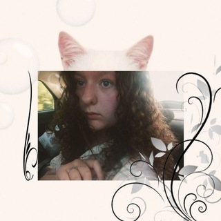 @mewwse_dl