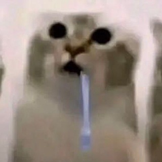 @mfeeey