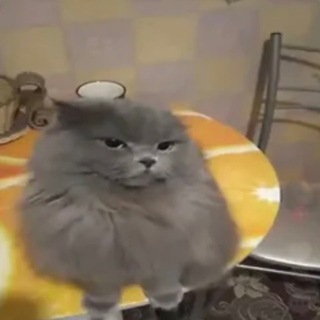 @mgcoin1