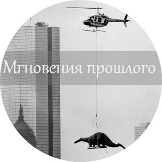 @mgnovenia_proshlogo