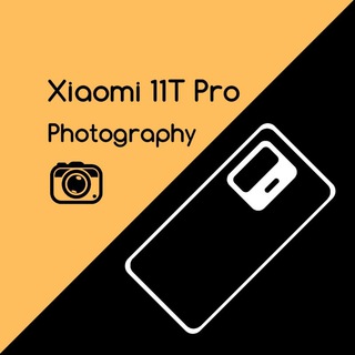 @mi11t_photography
