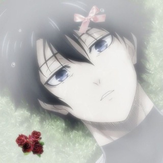 @Midorima03