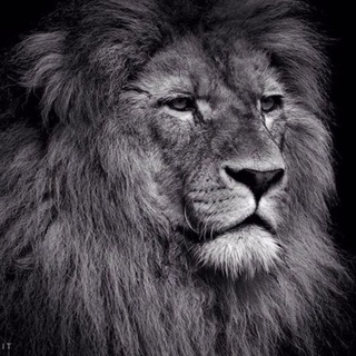 Михаил Черепенников