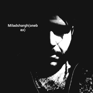 @miladsharghonebax021