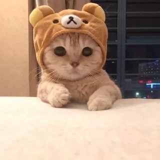 @Millo_on_SOL