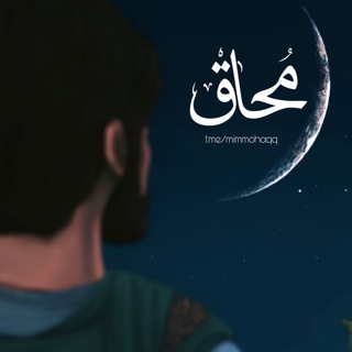 @mimmohaqq