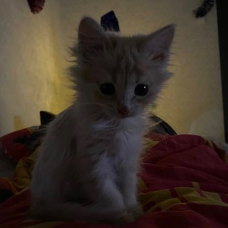 @minet010