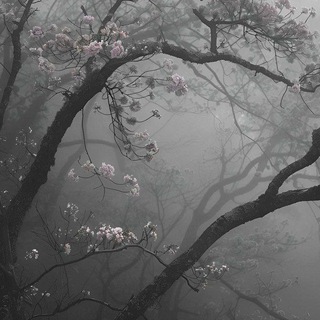 @mioki_LRV