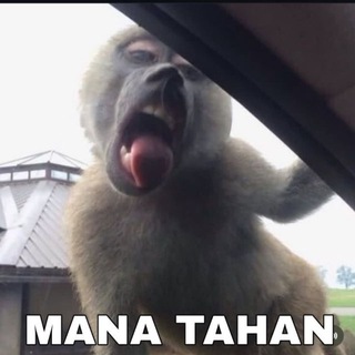 @mionyet