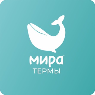 @miratermy
