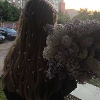 @Mirel_43
