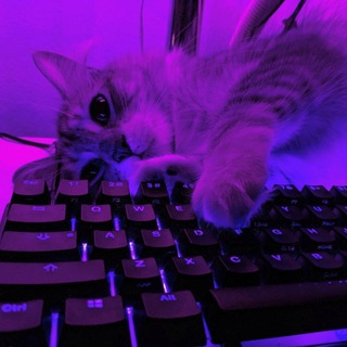 @miststrix