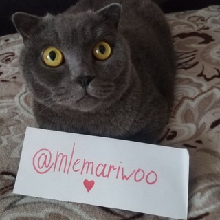 @mlemariwoo