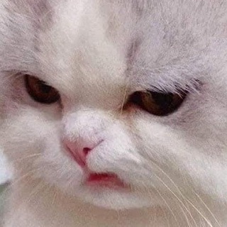 @mlk_bot